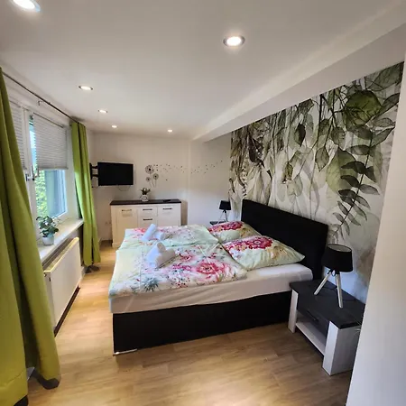 Daire Waldblick Winterberg